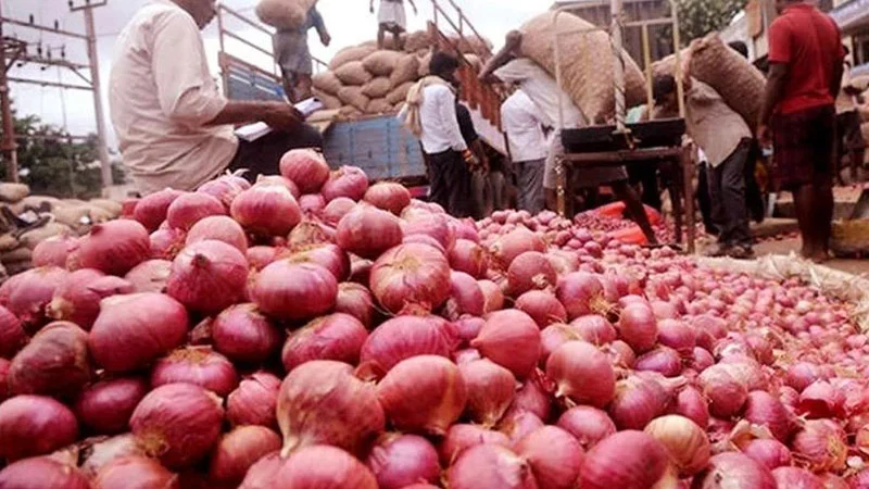 onion