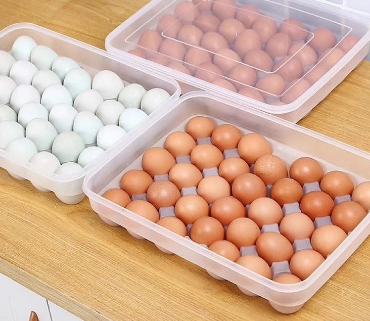 egg