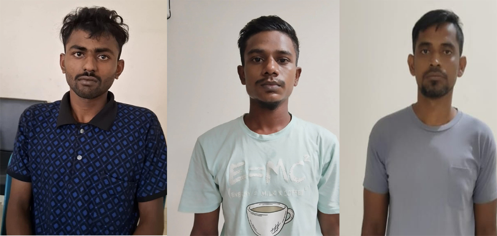 সংগৃহীত