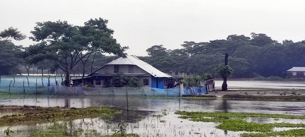 বন্যা
