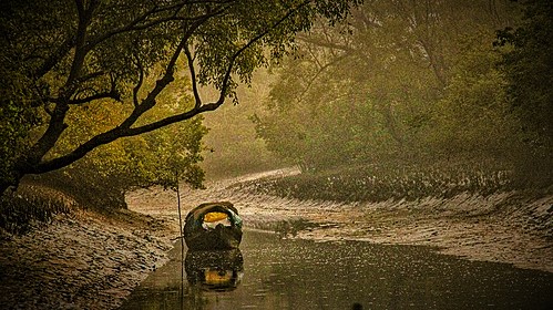 সুন্দরবন, sundarbans