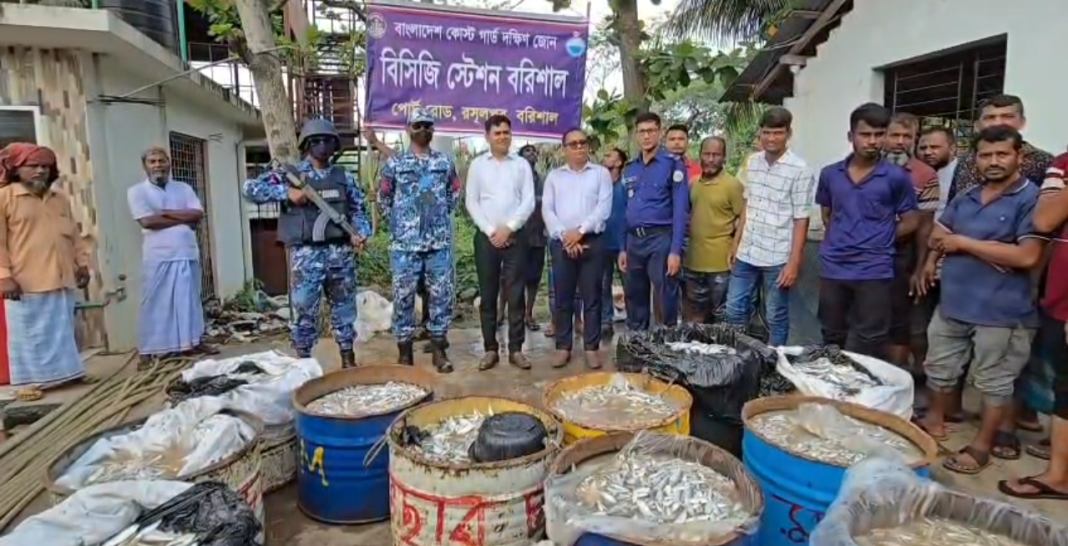 ঝালকাঠিতে জব্দকৃত জাটকা।