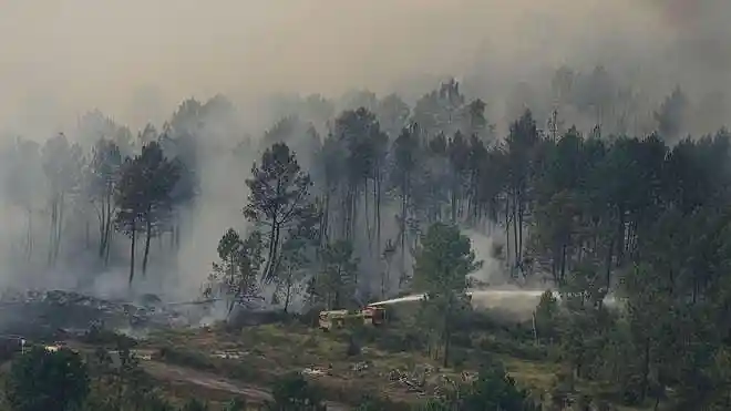 Fire engine sprays water to suppress a wildfire near Ares in southwestern France.