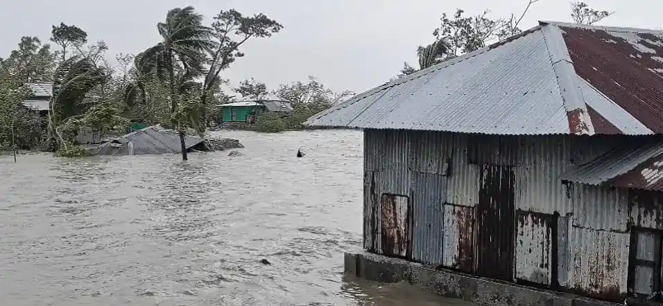 জলাবদ্ধতা Waterlonging জলাবদ্ধতা