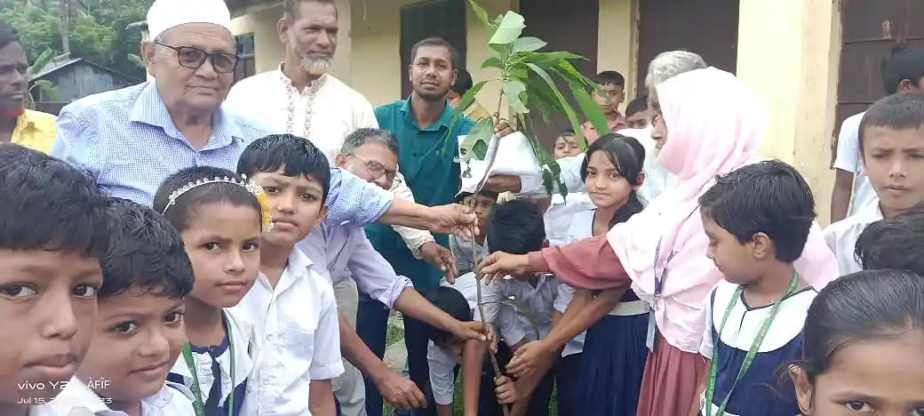 Tree plantation monpura