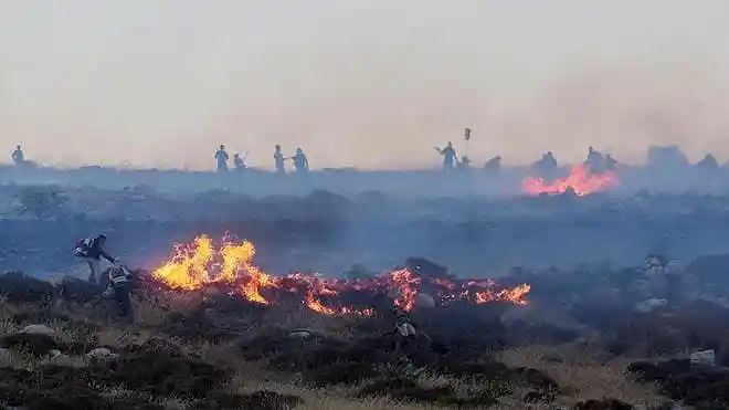 Israeli settlers put out a fire near a settler outpost close to Taybeh in the occupied West Bank.